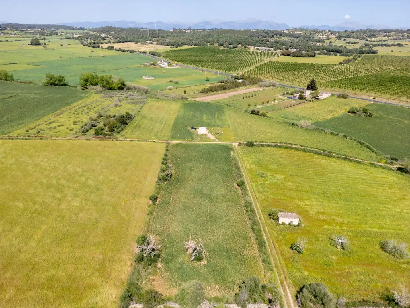 Terreny rústic en venda a Polígono 3 Parcela 363, imagen 18
