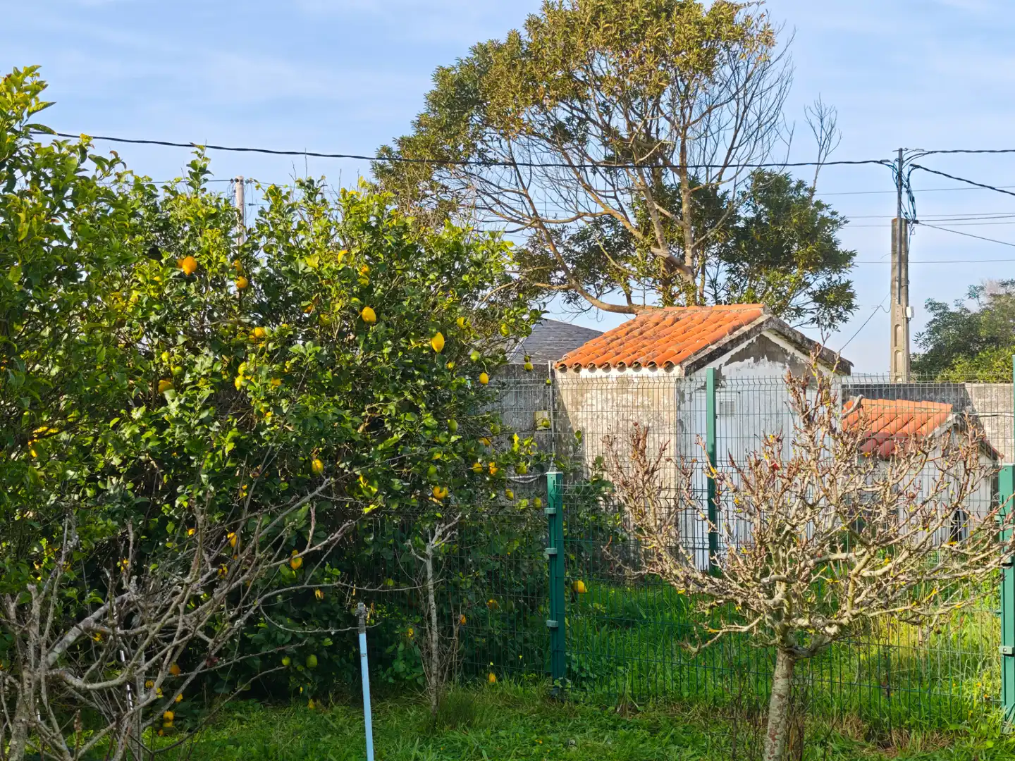 Chalet con piscina en venta en Vila Área Núcleo, imagen 16