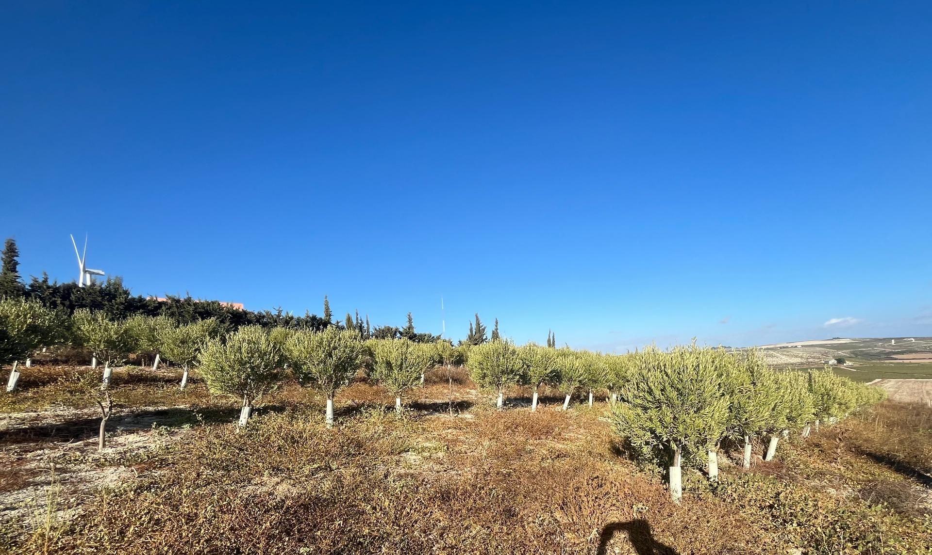 Residencial en venda en Jerez de la Frontera