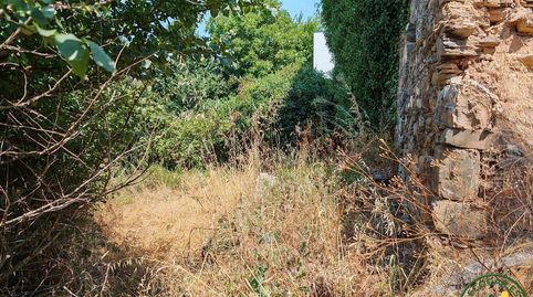 Se vende casa de piedra con algo de terreno en Santa Marina del Sil, imatge 4