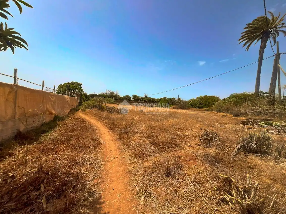 Rural land for sale in Ingenio pueblo, imagen 2