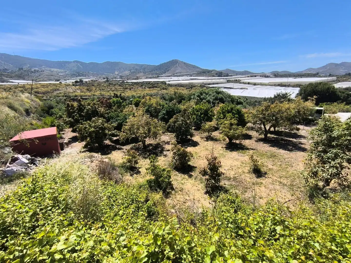 Finca rústica en venda en Motril amb Terrassa