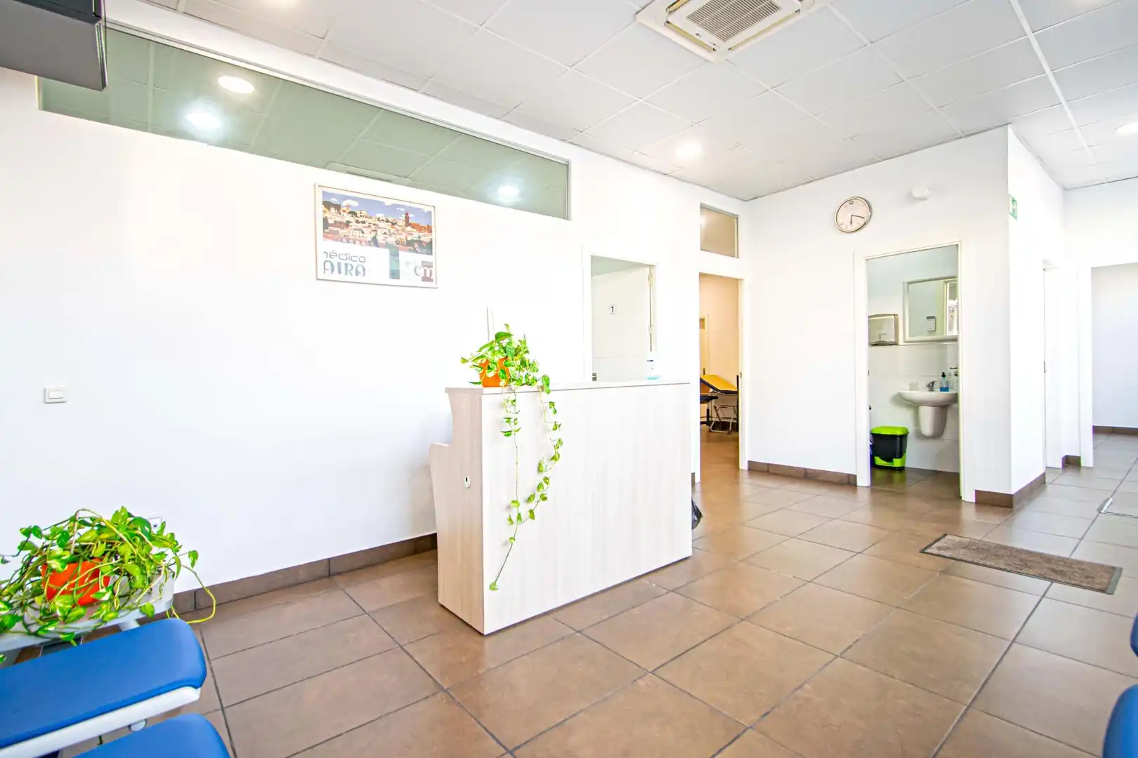 Local commercial à vendre à Nueva Alcalá