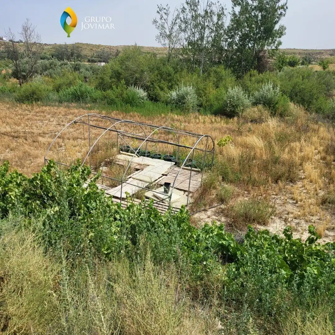 Terreno rustico in vendita a Caniles, imagen 15