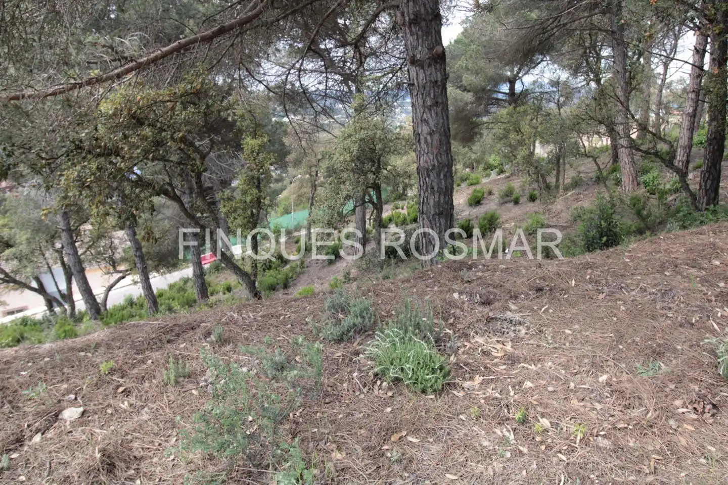 Terreni e lotti in vendita a Lloret Residencial - Montlloret, imagen 12