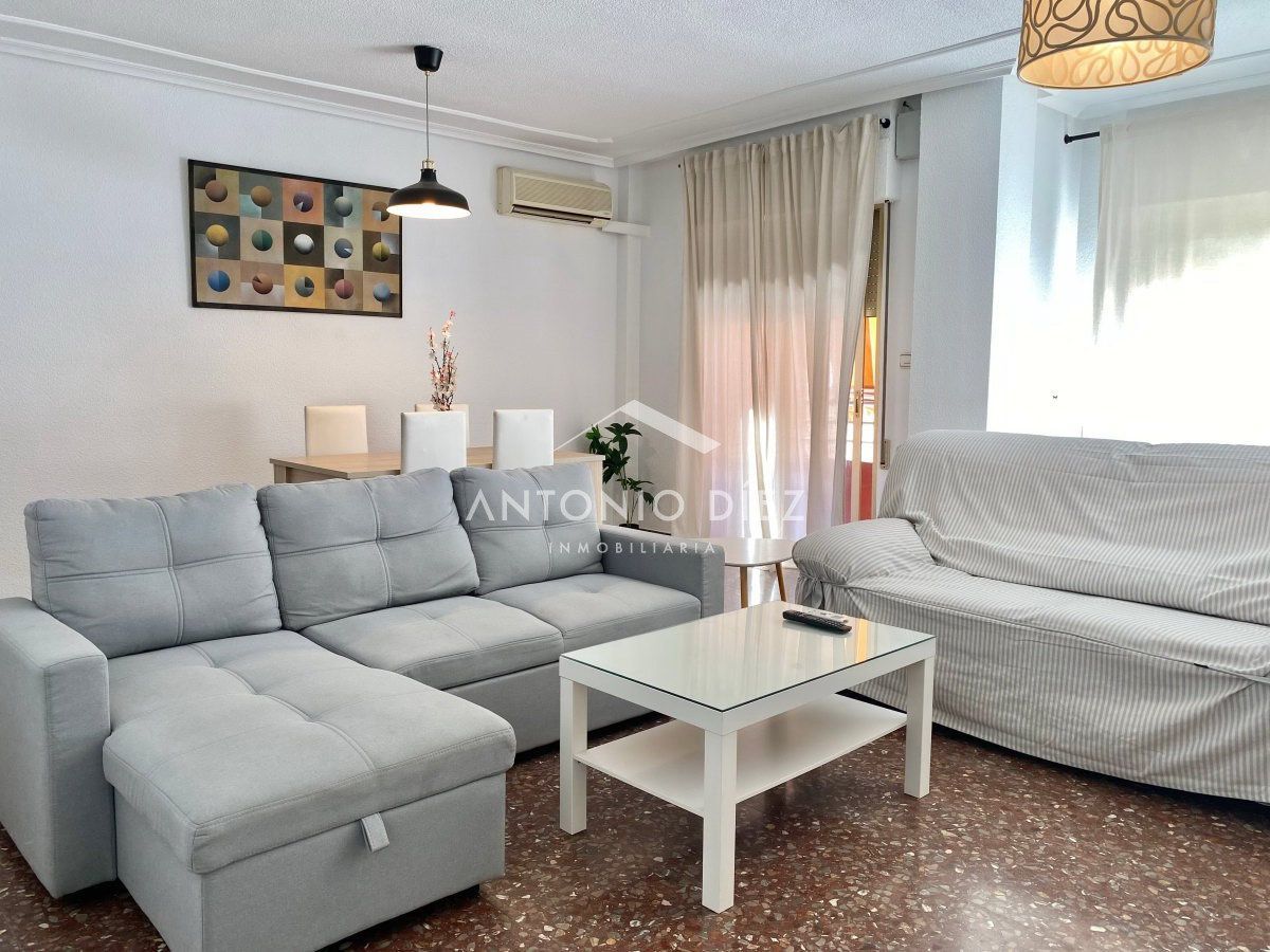Living room of Flat to rent in Aspe  with Air Conditioner, Furnished and Balcony