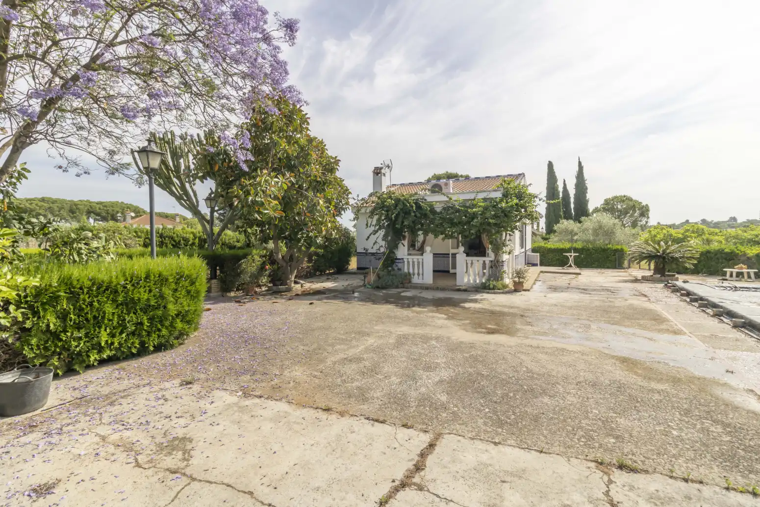 Jardín de Casa o chalet en venta en Carmona con Piscina
