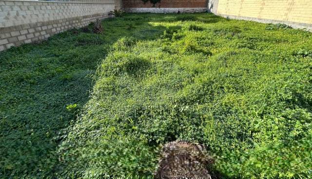 Terreno residencial en Venta en Churriana - El Pizarrillo - La Noria-Guadalsol