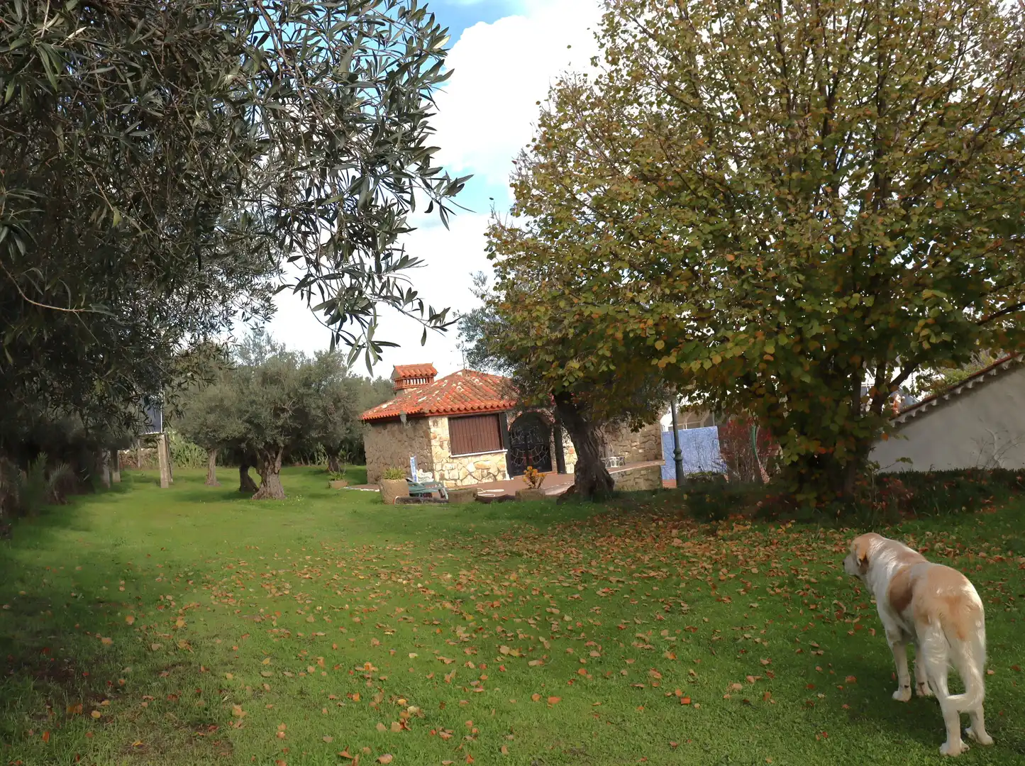 Country house with pool for sale in Trujillo, imagen 4