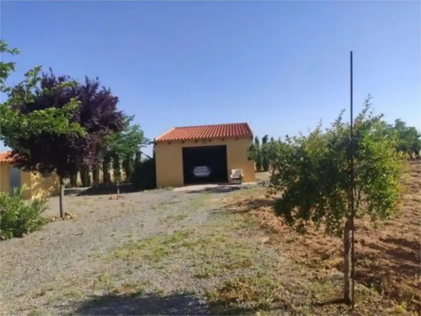 Finca rústica en venda en Consuegra amb Jardí privat i Moblat