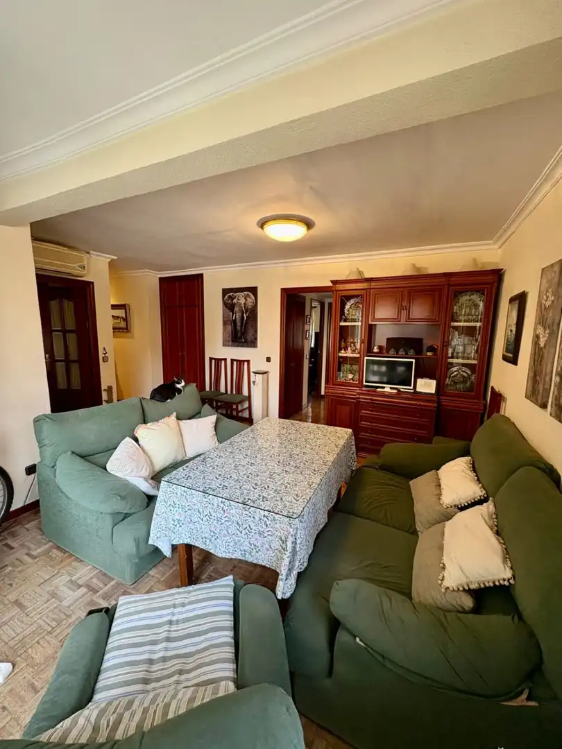 Living room of Flat for sale in Sevilla  with Air Conditioner and Heating