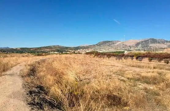 Lands and plots for sale in Calle Molino Nuevo, imagen 2