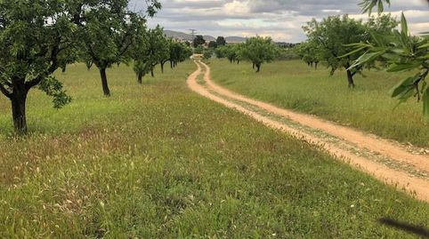 Foto 2 von Residential zum Verkauf in Hellín, Albacete