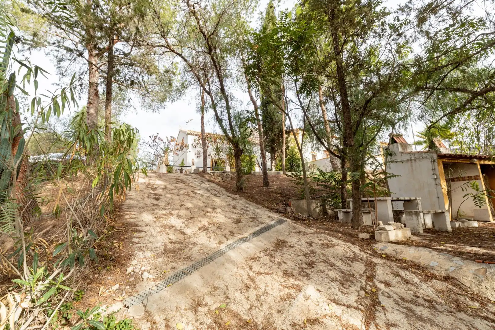 Vista exterior de Casa o chalet en venta en Ricote con Jardín privado, Terraza y Trastero
