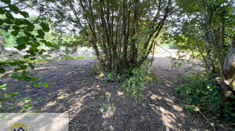FINCA EN VENTA EN AREA DE BON, immagine 2