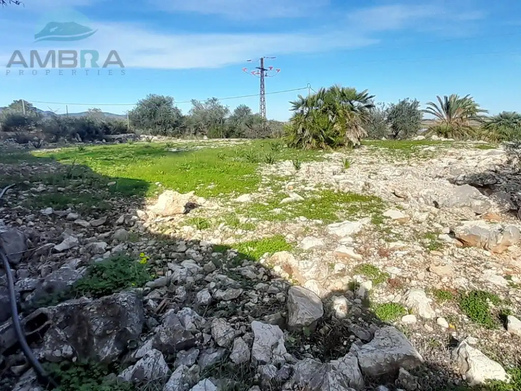 Rural land for sale in Partida racons, imagen 19