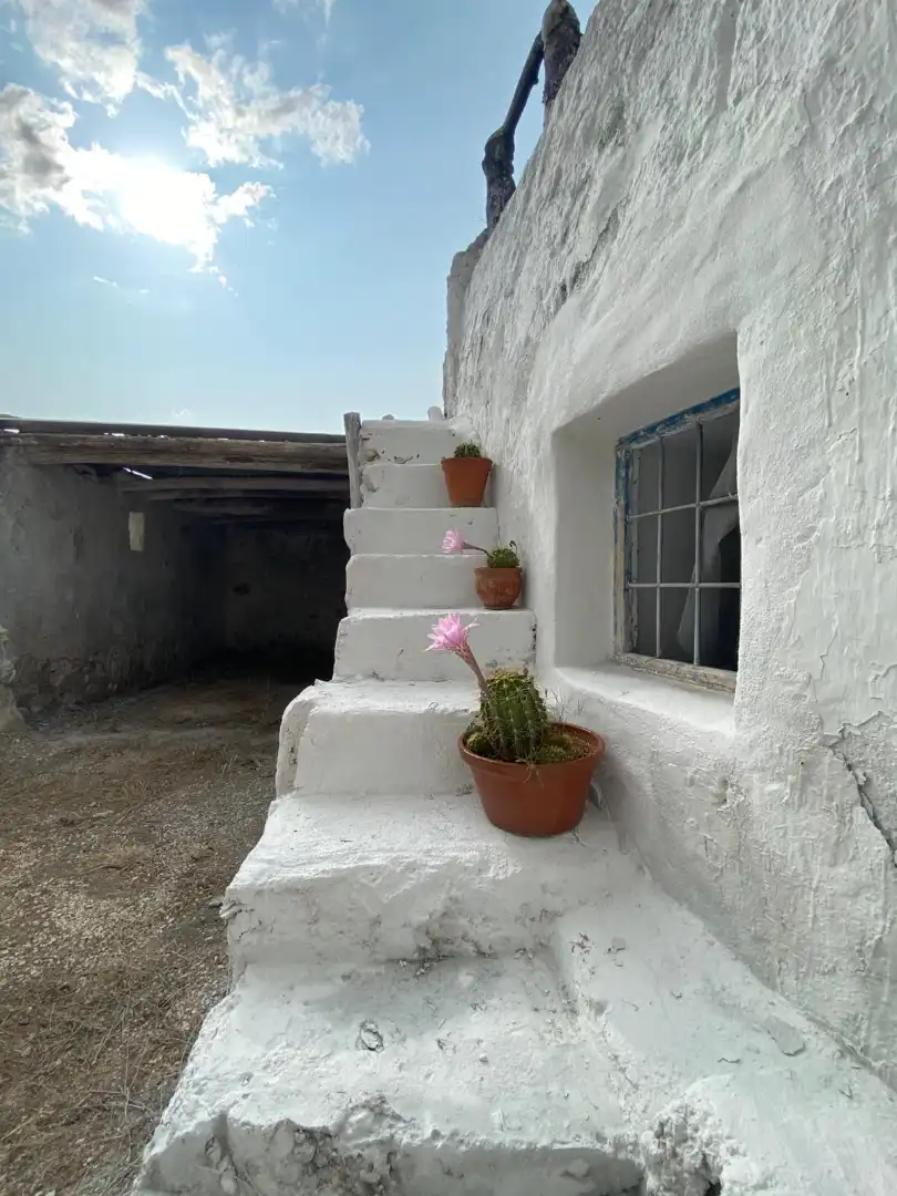 Vista exterior de Finca rústica en venta en Huesa con Jardín privado y Amueblado