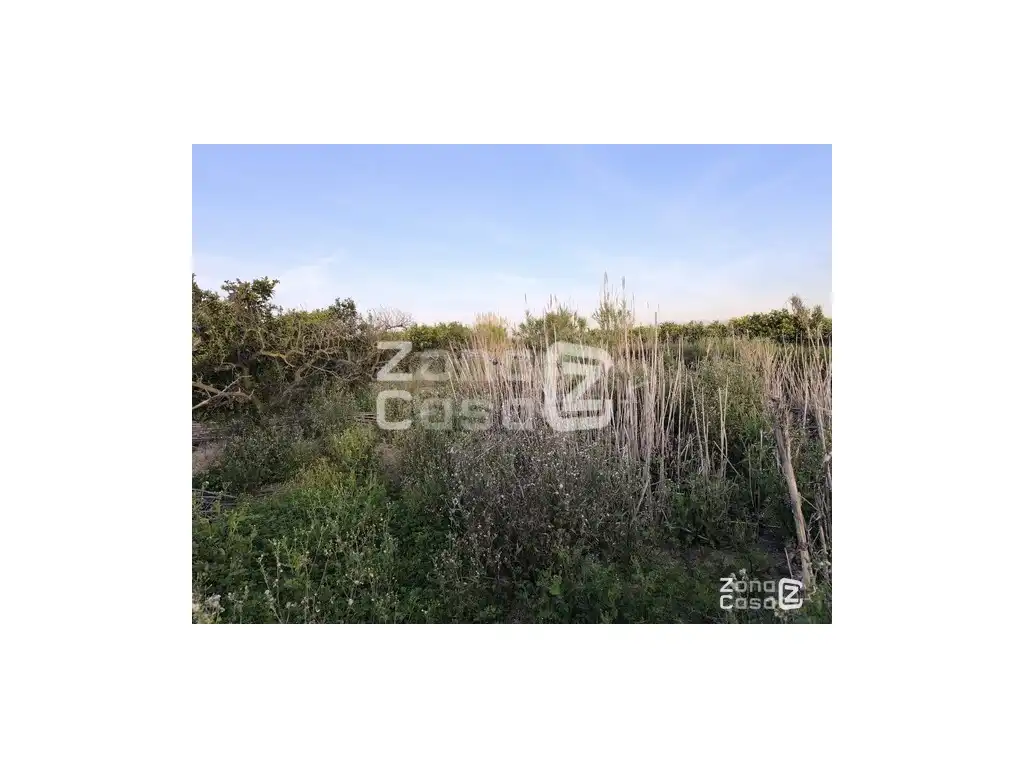 Country homes for sale in Algemesí, Valencia