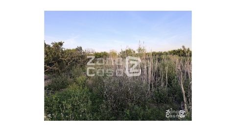 Photo 3 of Country homes for sale in Pol.7 Parc. 43, Algemesí, Valencia