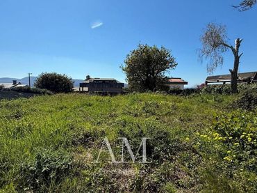 Terreno rustico in vendita a Calle Otero Pedrayo
