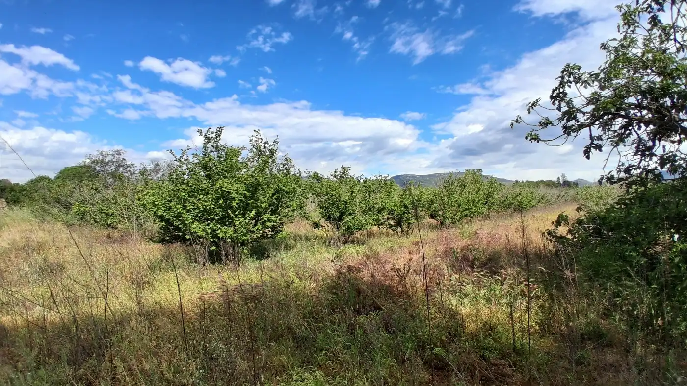 Terreno en venta en El Milà