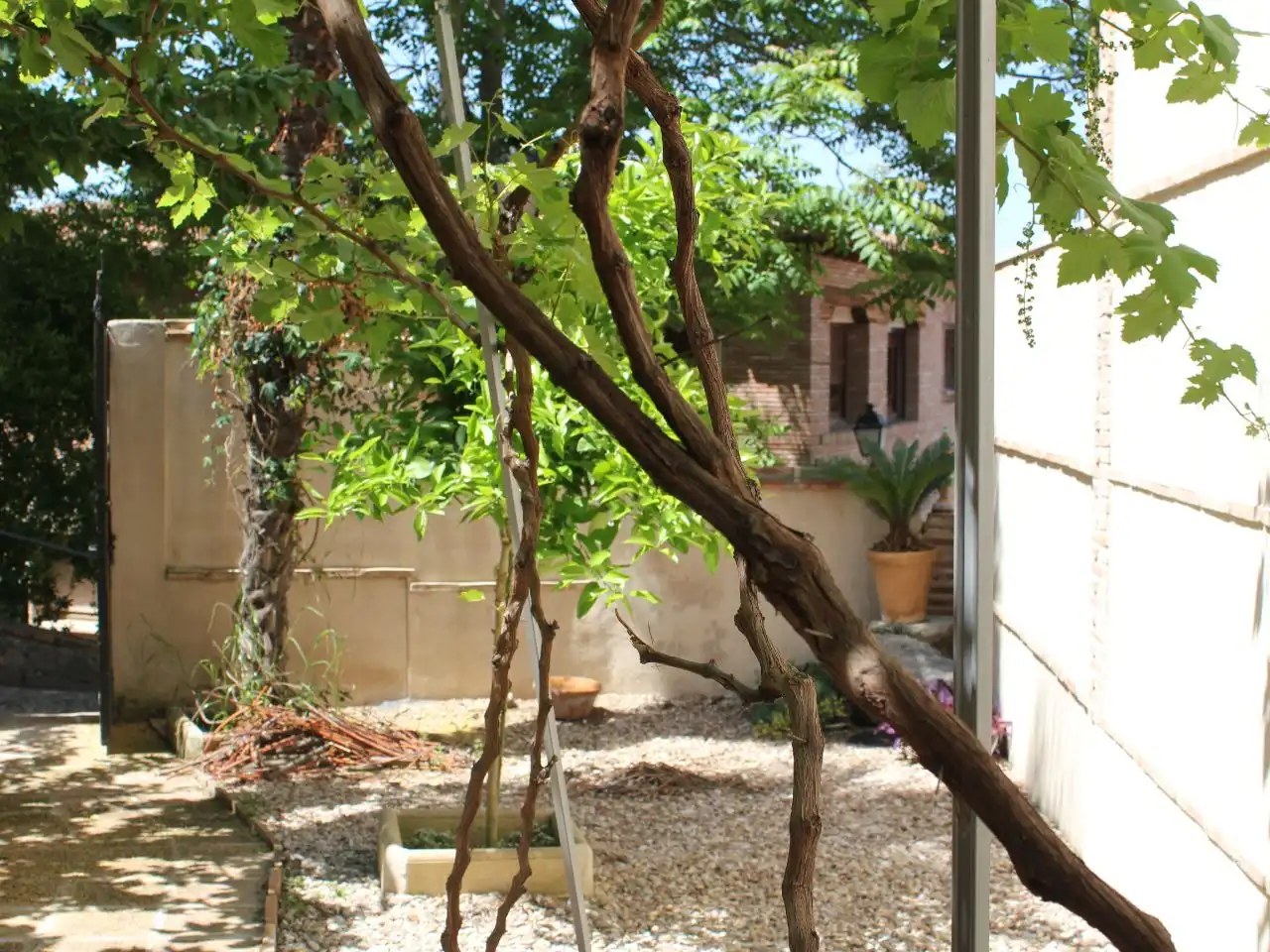 Casa amb jardí en venda a San juan de los Reyes 2, imagen 6