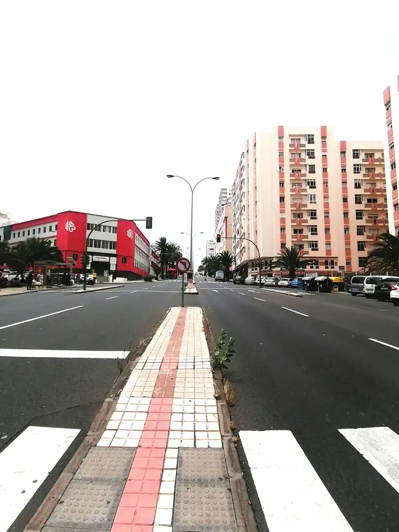Exterior view of Commercial properties for sale in Las Palmas de Gran Canaria  with Furnished