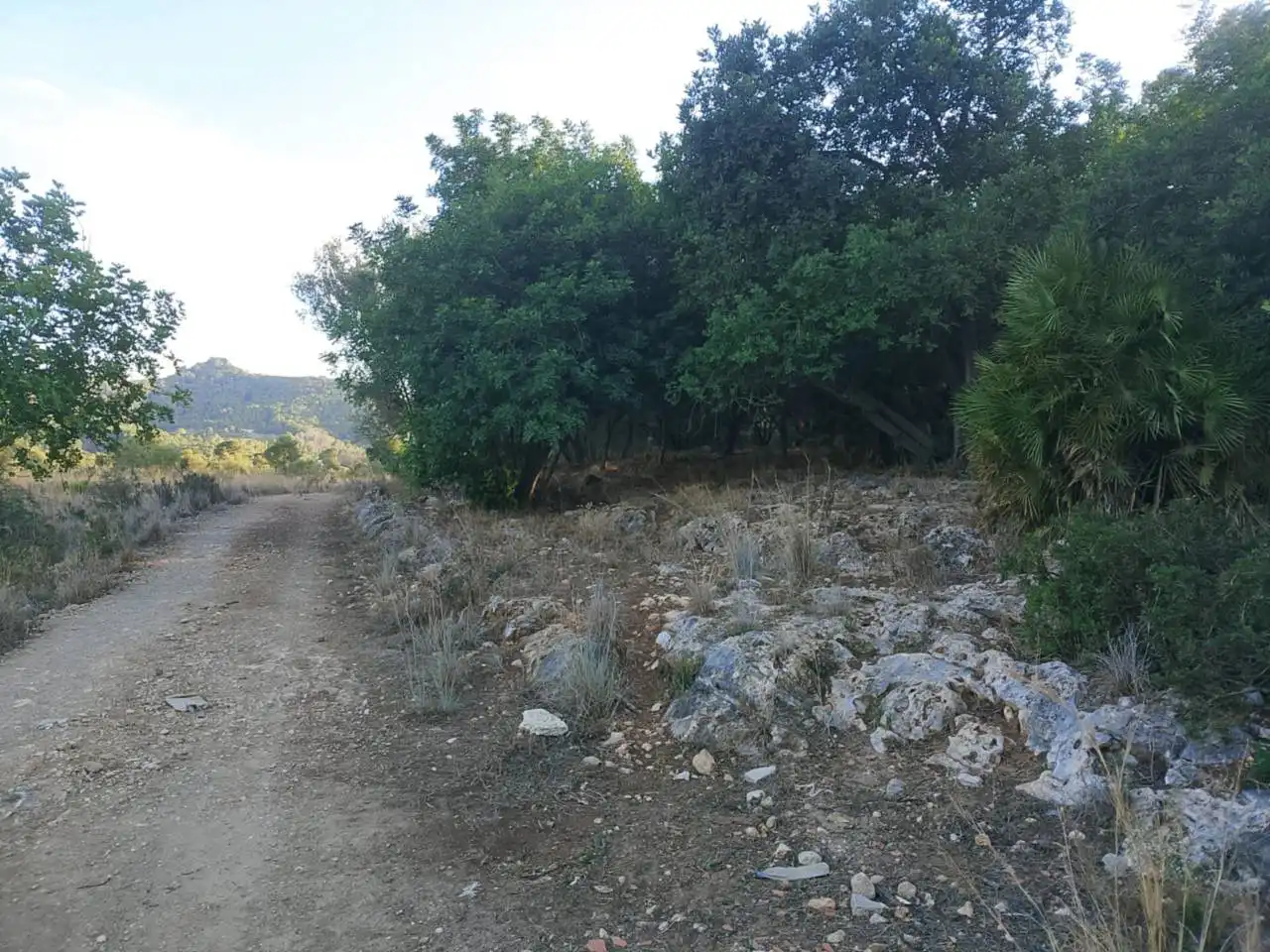 Terrain rustique à vendre à Camino Puça 1, imagen 17