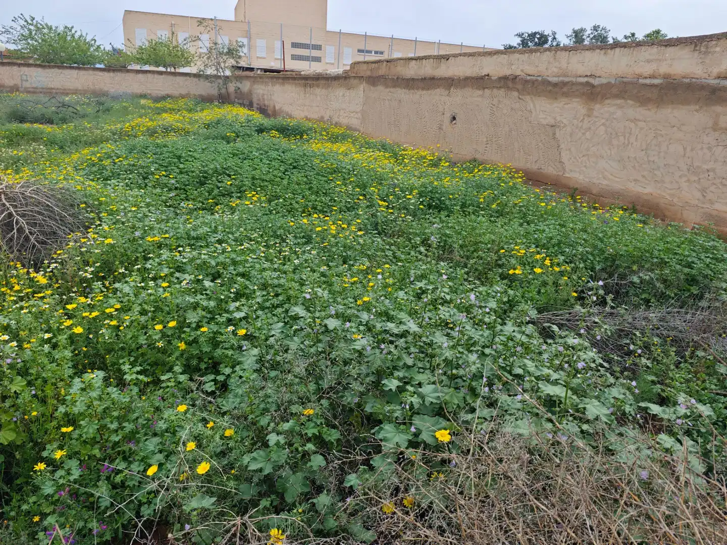 Residential zum Verkauf in Murcia