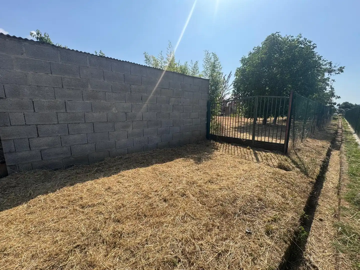 Terreni e lotti in vendita a Zona Alta, imagen 2