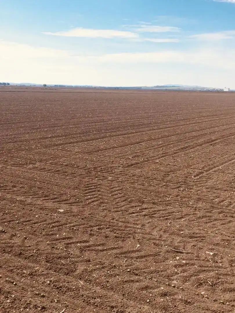 Finca rústica en venda en Las Cabezas de San Juan, Sevilla