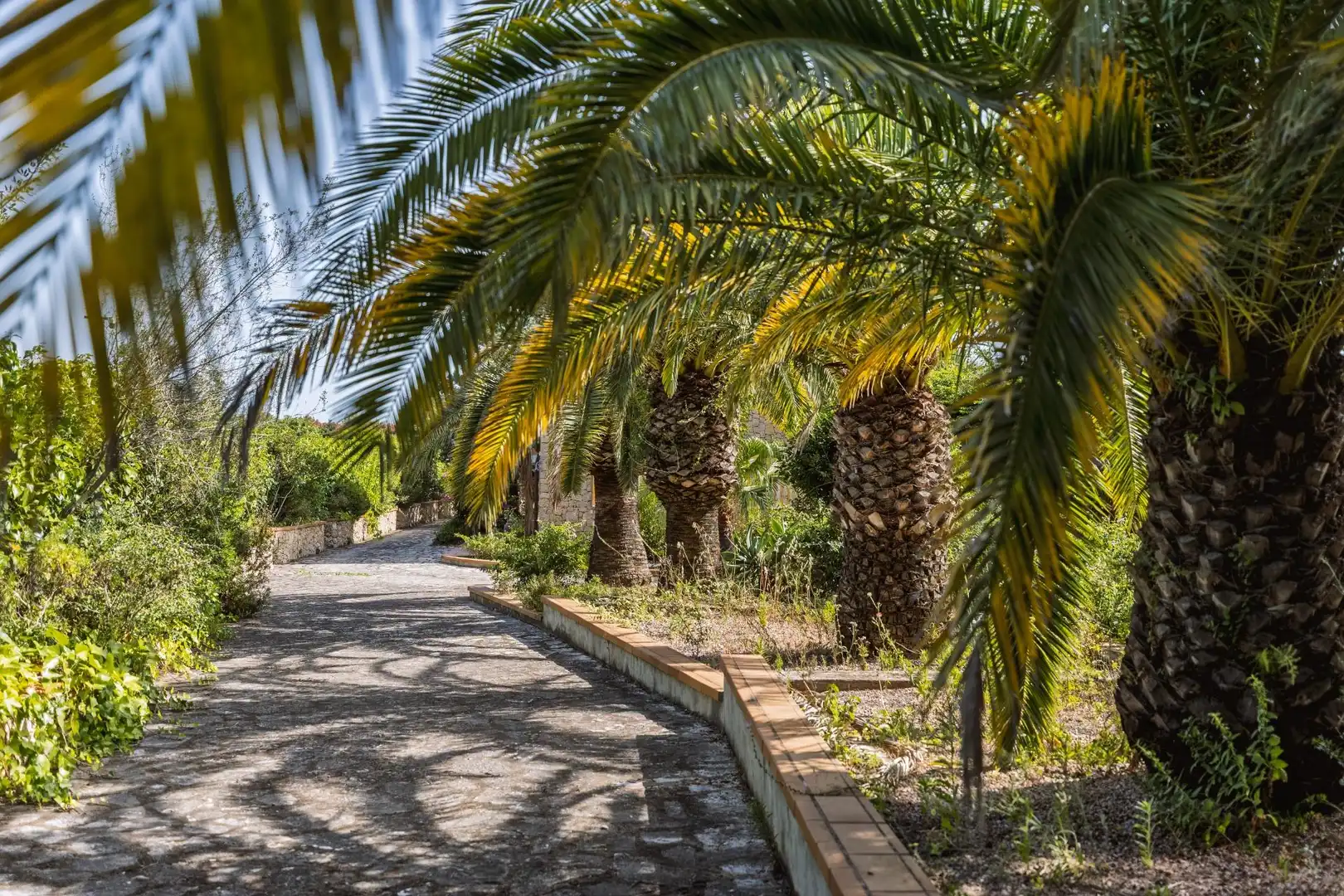 Vista exterior de Casa o xalet en venda en Pedreguer amb Aire condicionat, Calefacció i Jardí privat