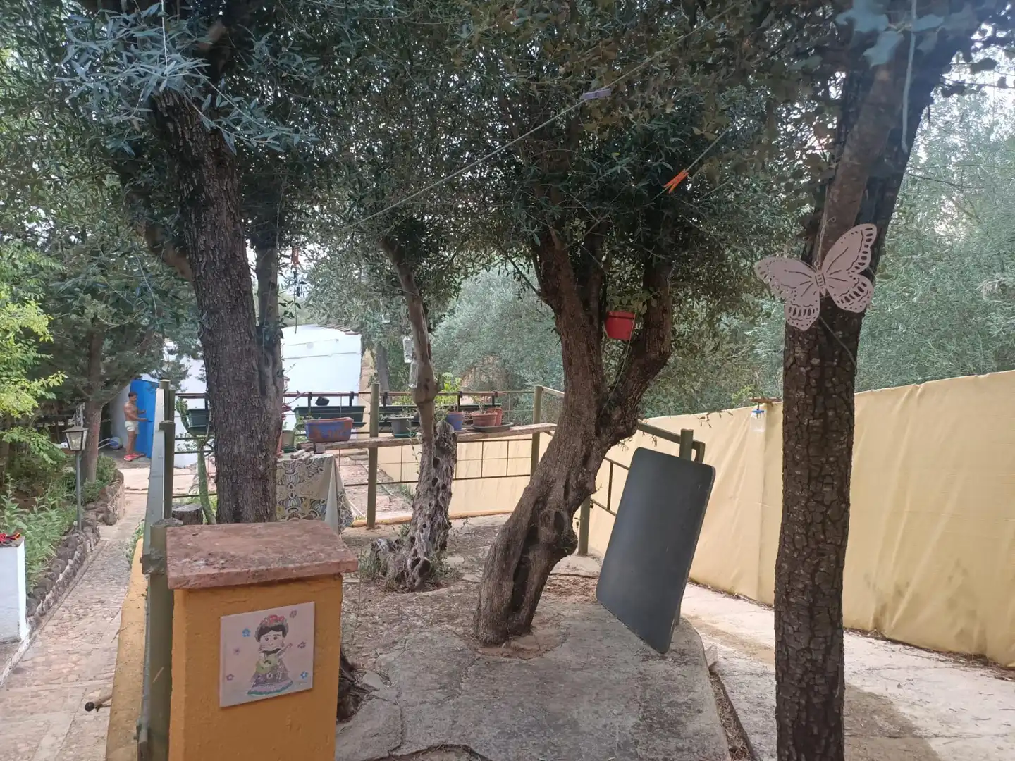 Jardí de Casa o xalet en venda en Piedrabuena amb Aire condicionat, Calefacció i Jardí privat
