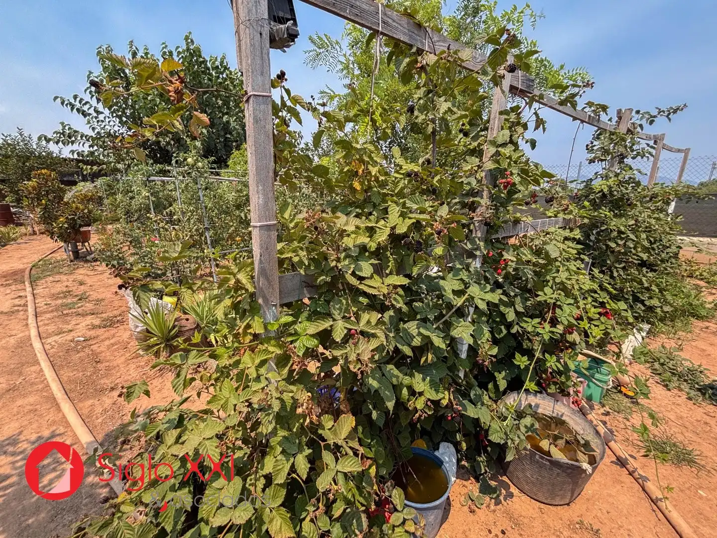 Garten von Country house zum Verkauf in Almazora / Almassora mit Heizung, Privatgarten und Möbliert