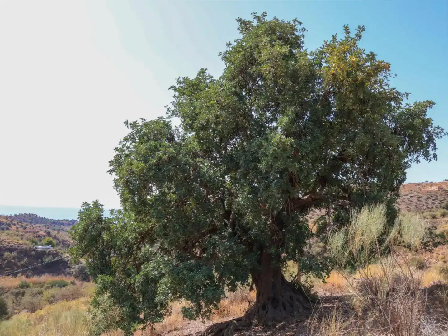 Außenansicht von Grundstücke zum Verkauf in Rincón de la Victoria