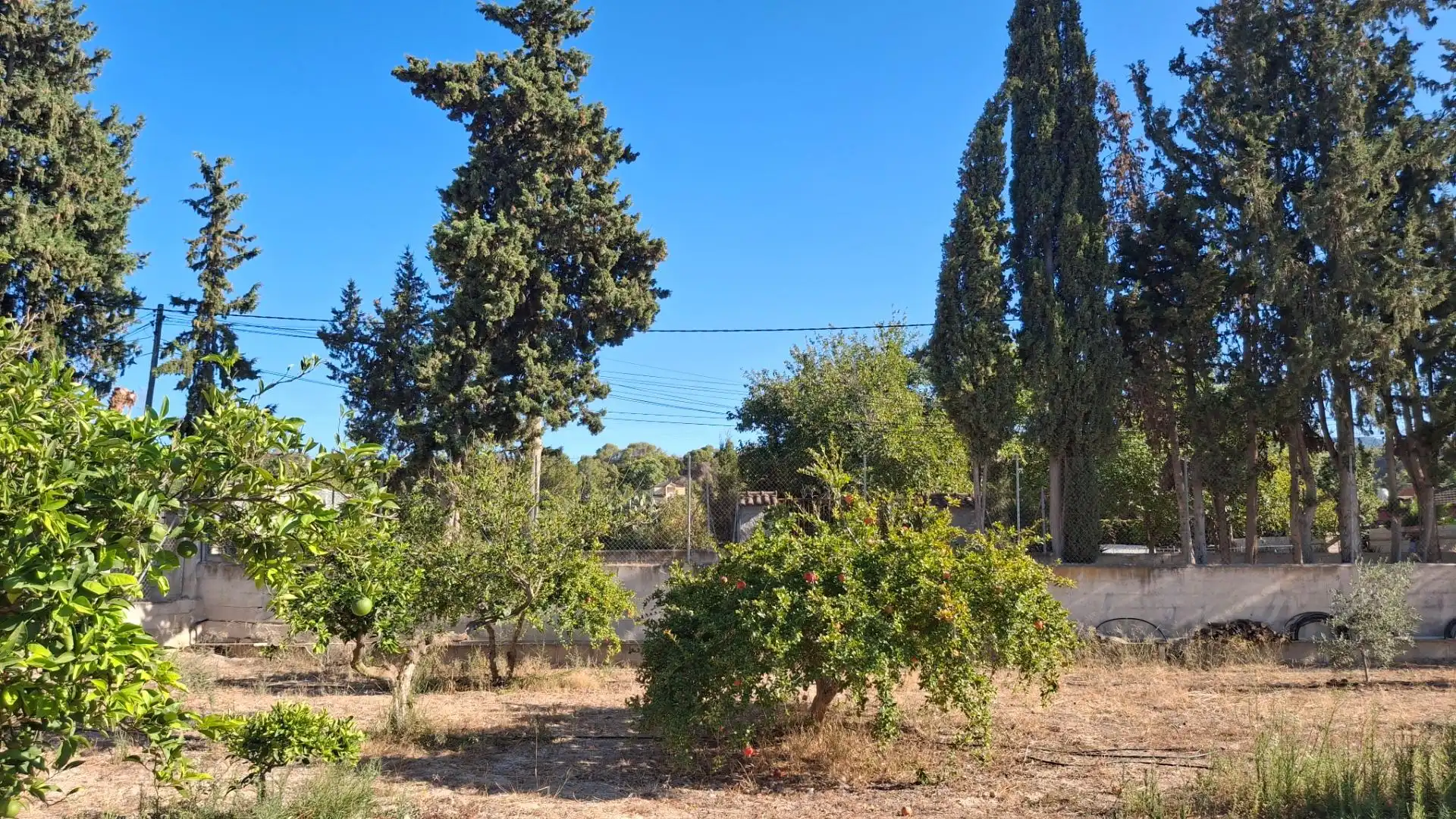 Terrenys i solars en venda a Torreguil, imagen 11