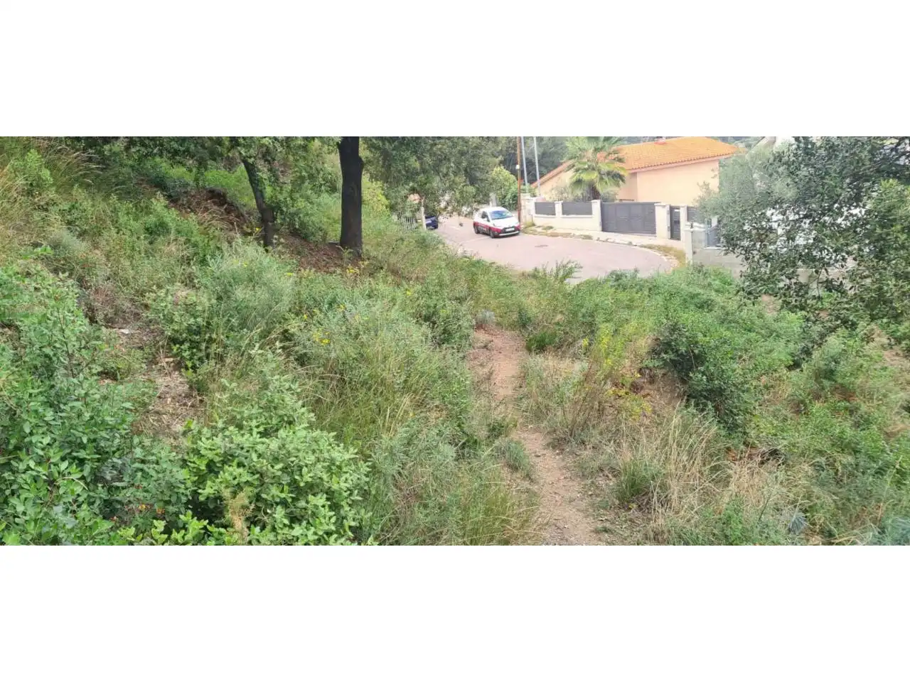 Terreny rústic en venda a Calle Serra de Sant Feliu, imagen 5