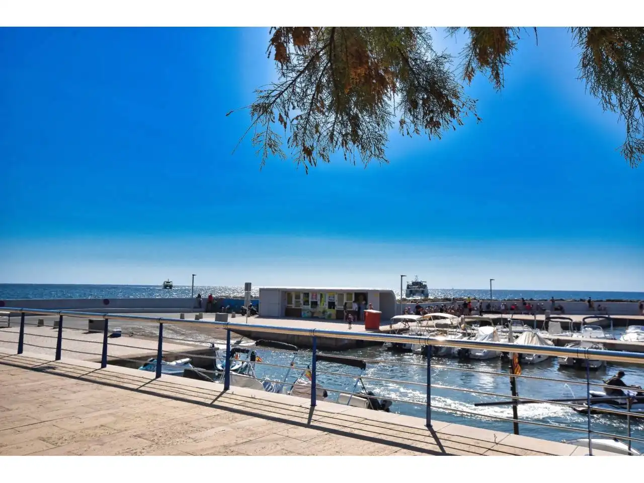 Business premises for sale in Paseo Magdalena Rigo Lliteras 28, imagen 14