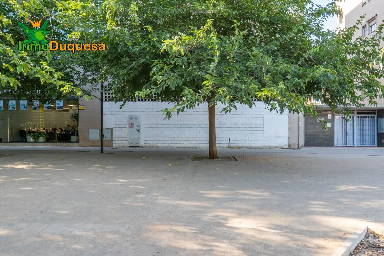 Local comercial en venda a Catedrática Asunción Linares, imagen 41