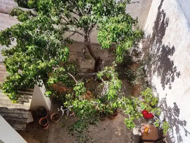 Jardín de Piso en venta en Casabermeja con Trastero