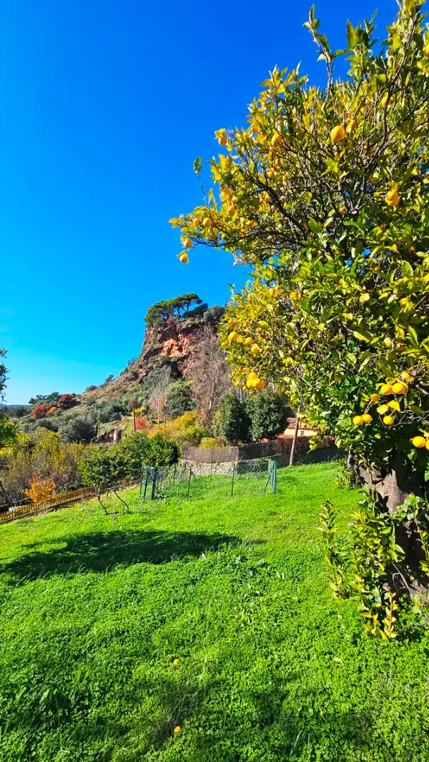Garden of Houses for sale in Alájar  with Heating, Private garden and Terrace