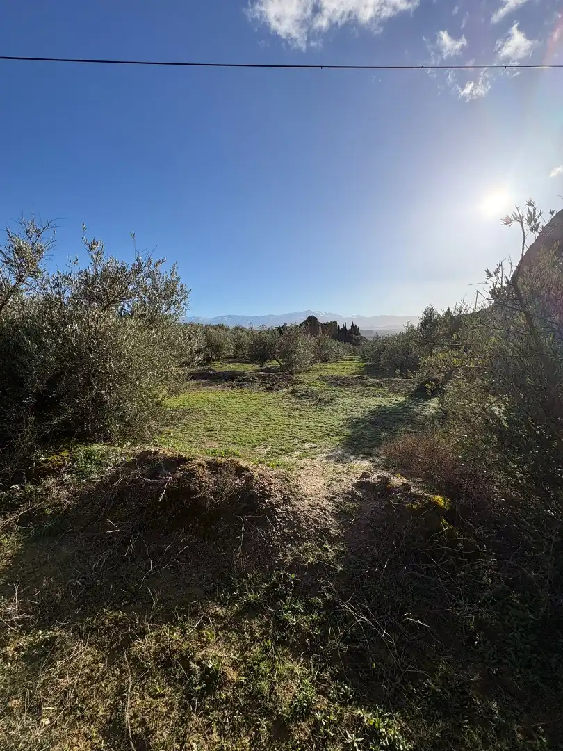 Grundstücke zum Verkauf in Guadix