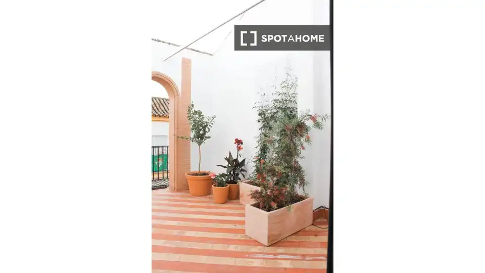 Habitació a Triana Este