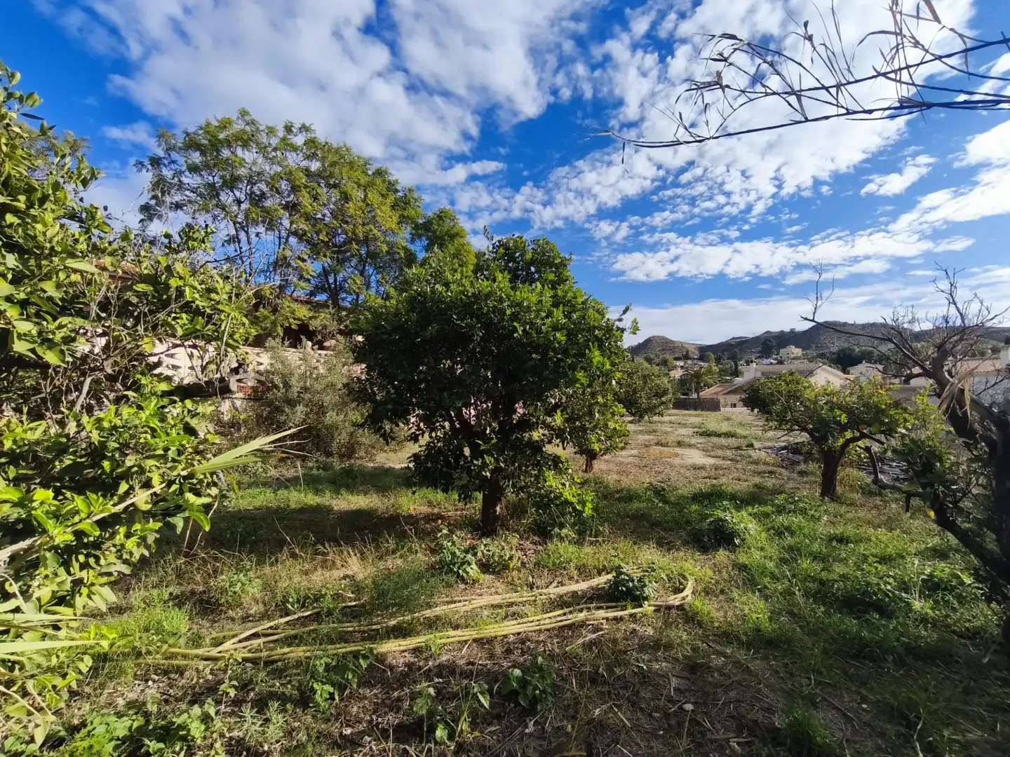 Villa avec piscine à vendre à Carrer Almogavers, imagen 5
