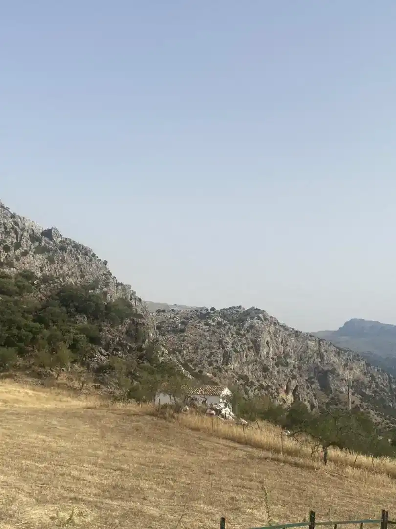 Finca rústica en venda en Montejaque