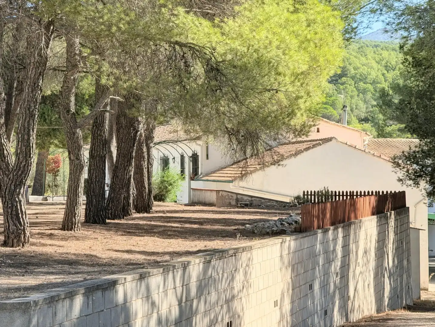 Casa rústica en venda a Ibi, imagen 63