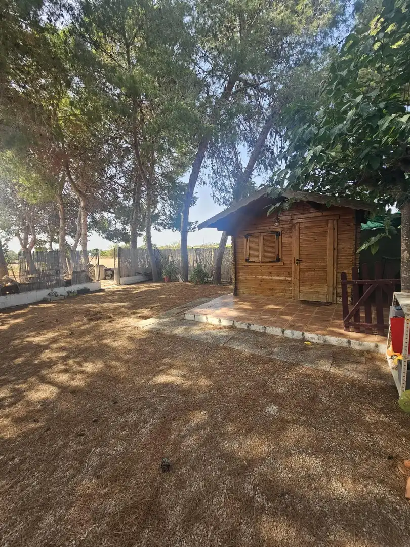 Casa con jardín en venta en Dolores, imagen 26