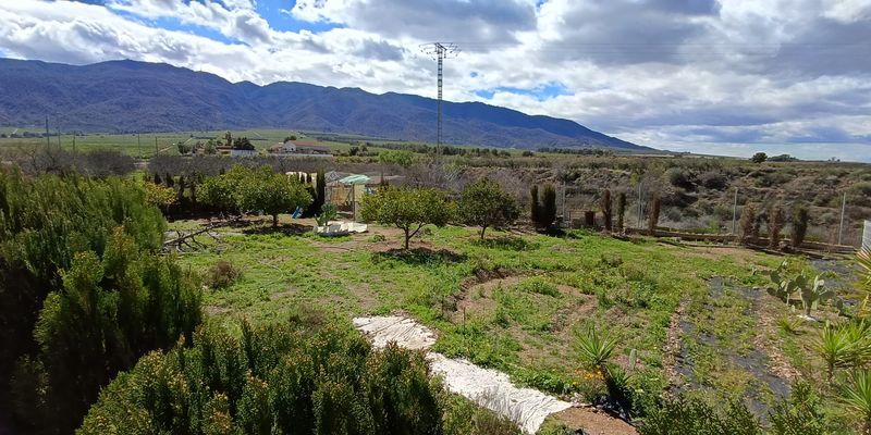 Garden of House or chalet for sale in Alhama de Murcia  with Air Conditioner, Private garden and Terrace