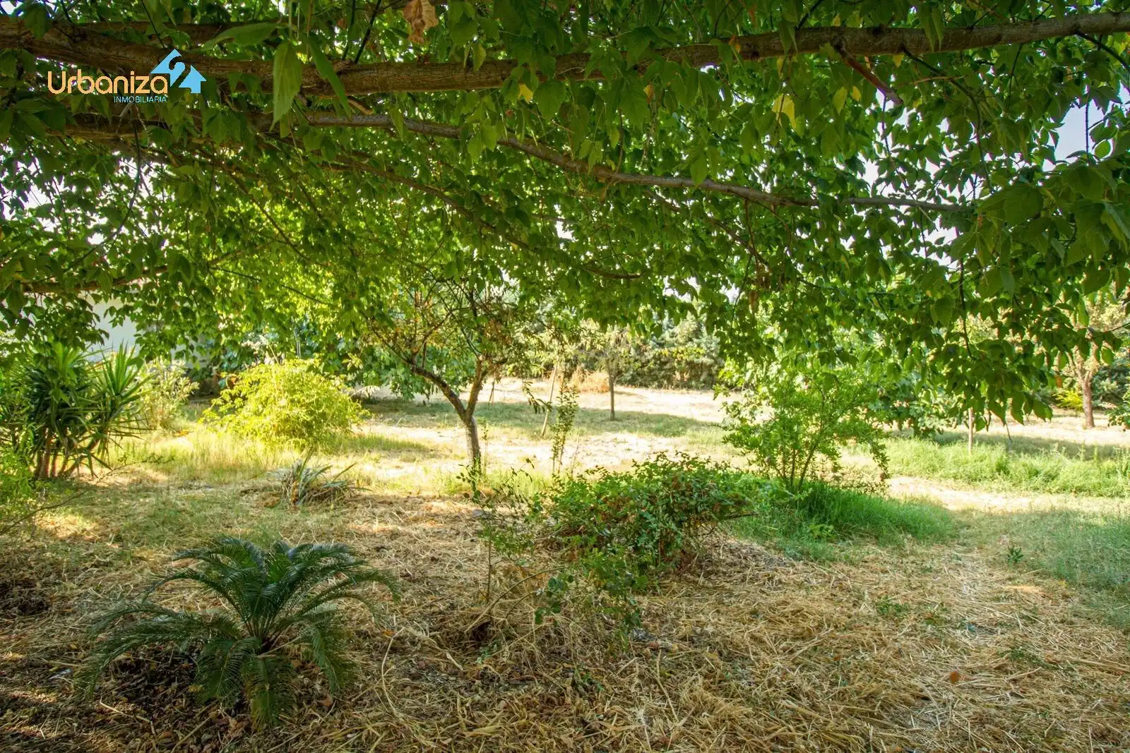 Jardín de Casa o chalet en venta en Badajoz con Calefacción, Jardín privado y Terraza