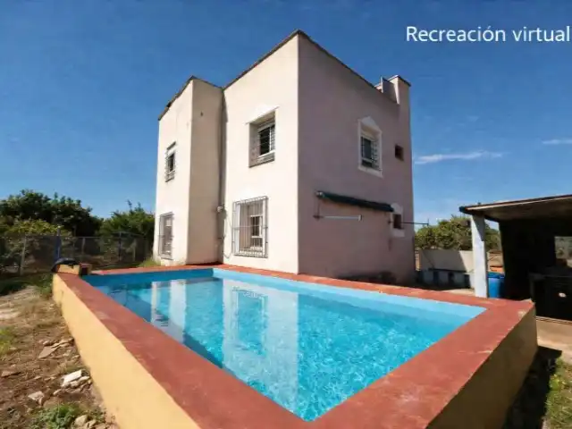 Vista exterior de Finca rústica en venda en Alzira amb Jardí privat i Piscina